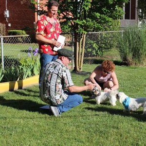 Meet your Posher, Lisa